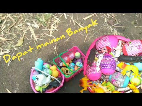 Cari mainan Hewan, Mobil mobilan, dan Telur kejutan ( eggs surprise ) LOL