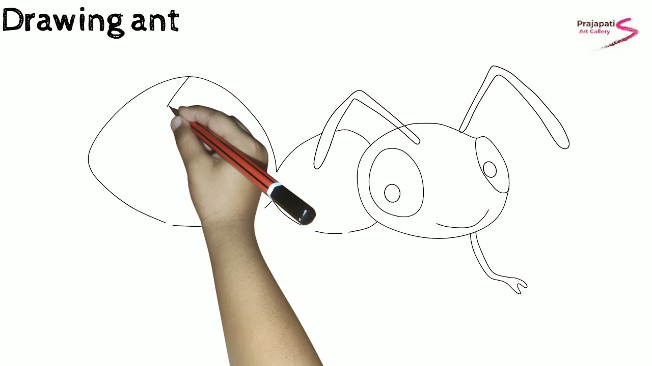 how to draw a ant | how to draw ant step by step | easy ant drawing