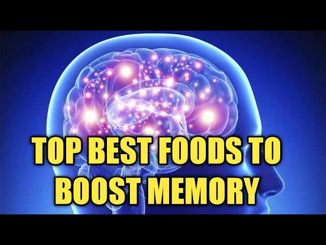 top best foods to boost brain memory