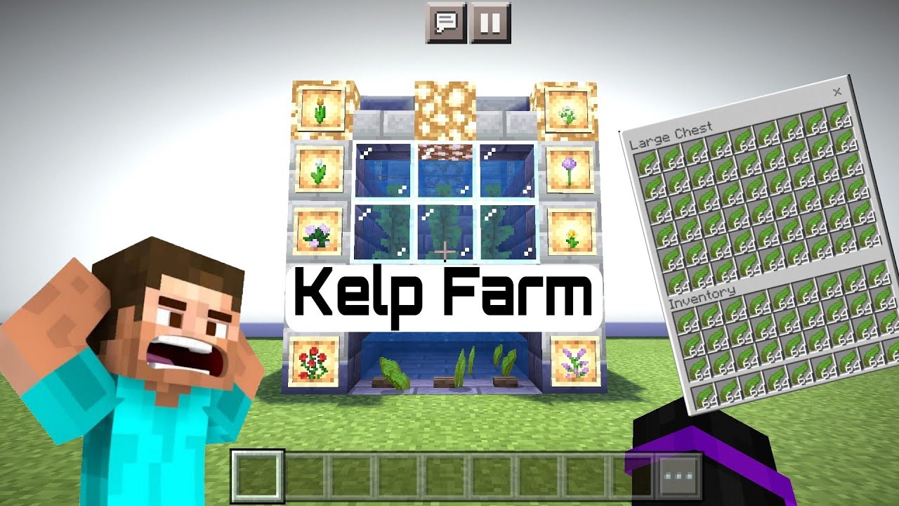 Kelp Farm Tutorial : Minecraft : Steve Gamerz