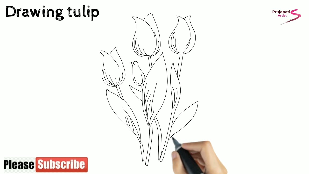 how to draw tulip flower | how to draw tulip | tulip flower drawing | drawing tulip flower
