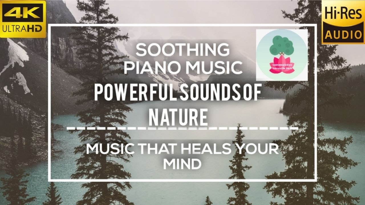 Powerful Sounds of Nature-RelaxingMusic|AmbientMusic|CalmMusic|4KVideo|60fps|5.1 SurroundAudio