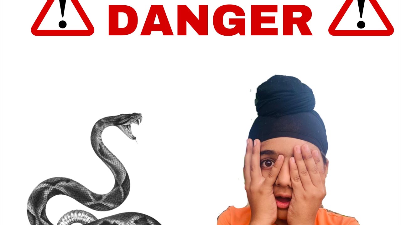 We found snake ?? || So Dangerous ||