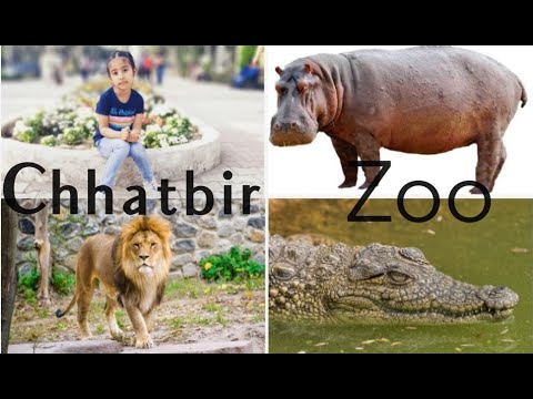 Chhatbir Zoo by Jasmyra K Singh
