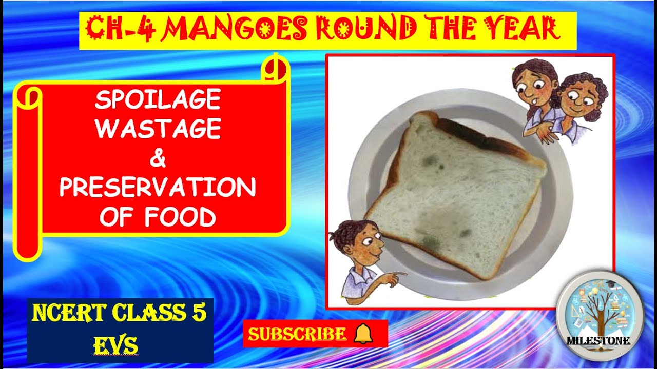 CHAPTER 4 MANGOES ROUND THE YEAR | CLASS5 EVS | SPOILAGE WASTAGE AND PRESERVATION OF FOOD #milestone