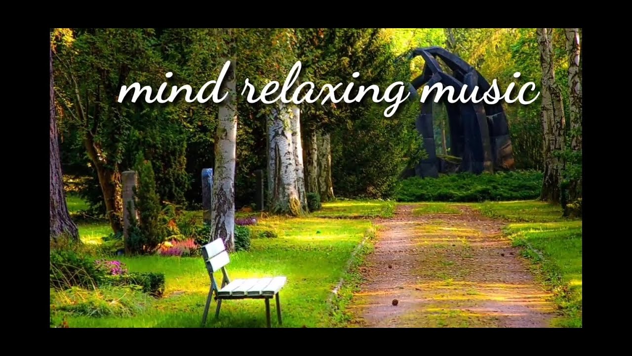 Relaxing music| meditation | sleep | focus music | calming music | stress relief| study music