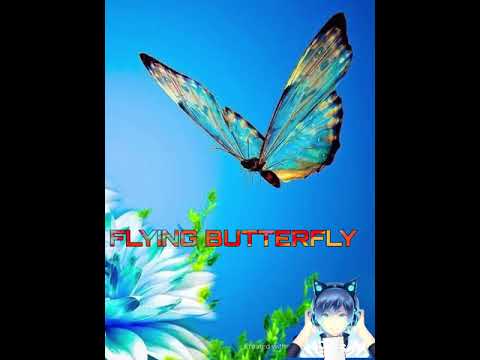 I HAVE MAKE MY FIRST MUSIC THE FLYING BUTTERFLY BY MR CURRENT HERO mainak