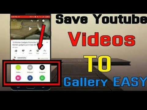 How to download YouTube video in phone gallery without any app