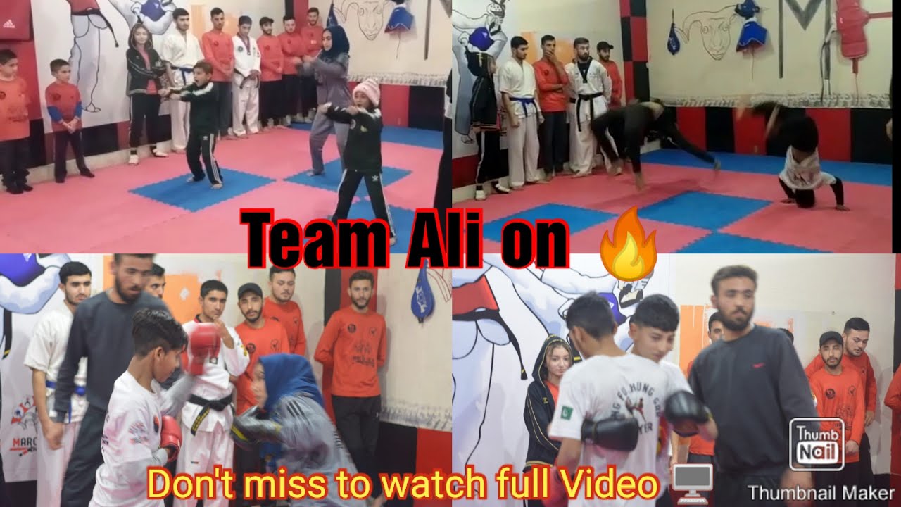 Demonstrations /Gymnastics /Self-Defense /Sparring Fights /Single, Double & Hung Gar Kung Fu Punch