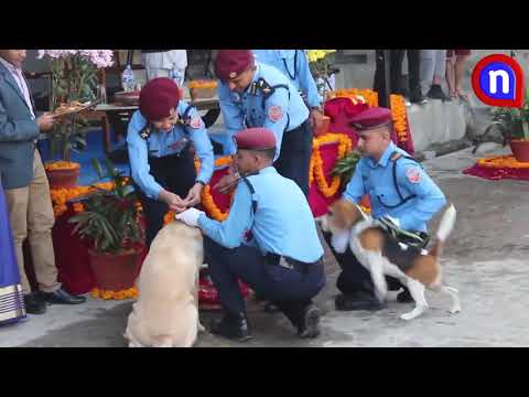 how to give Nepal police give training and for their dog during kukur tihar time