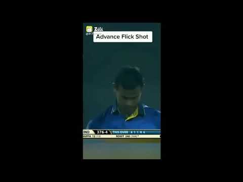 cricket tiktok video