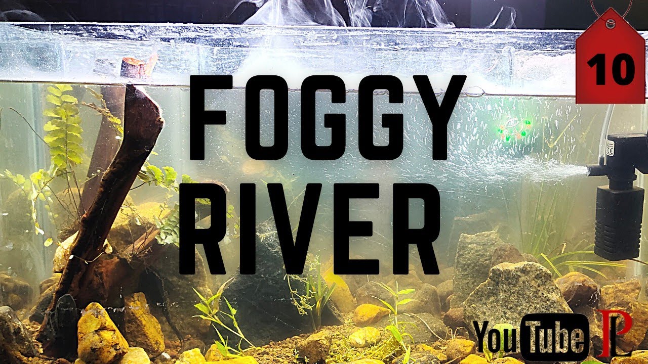 "THE FOGGY RIVER"|NATURAL AQUA SCAPE TANK|MALAYALAM|CHEAP AND BEST