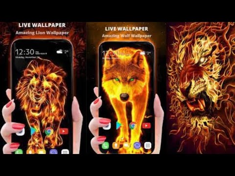 Fire Lion Wallpaper And Keyboard Theme Free | How To Apply Fire Lion Wallpaper In Mobile fayaz as tu