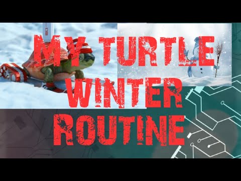 winter routine of my ? turtle