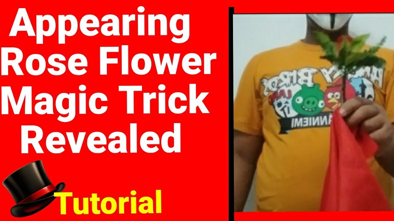 Top Flower Appearing Magic Trick Secret Revealed!#youtubeshorts #shorts #shortsvideo #tutorial#magic