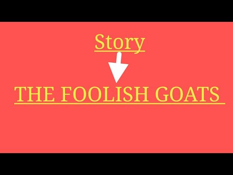 Story; THE FOOLISH GOATS