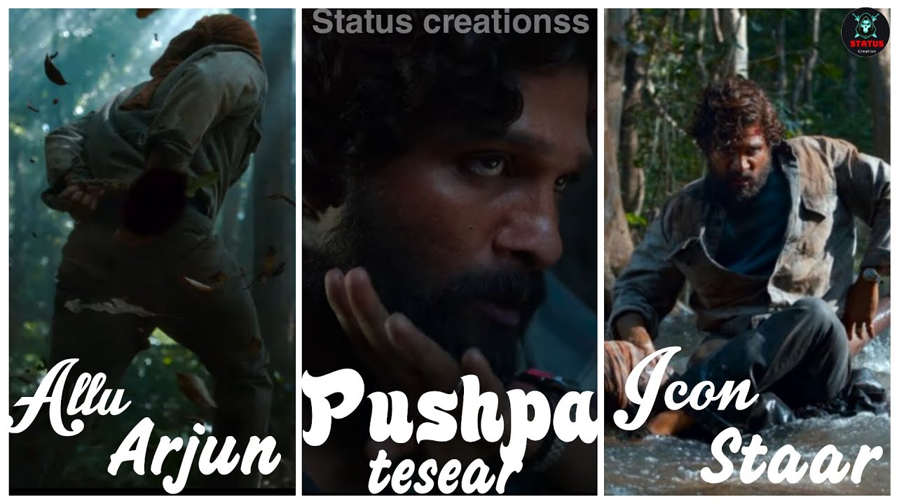 Introducing Pushpa Raj|Allu Arjun | Pushpa | Rashmika|pushpa teaser fullscreen status|Happy birthday