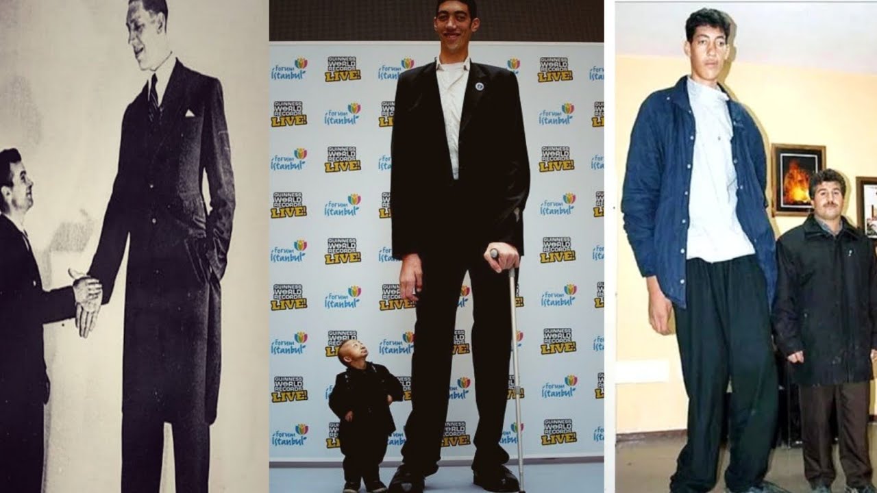 10 Tallest People in The World | Top 10 Tell people |