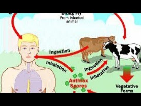 Zoonotic diseases ||Rahul sir|| science and technology ||Study with Amansingh