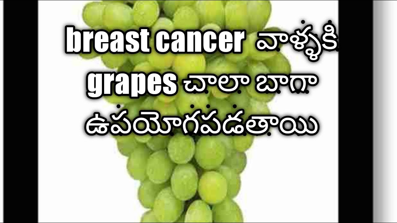 amazing health benefits of grapes.how it prevent breast cancer and colon cancer//side effects