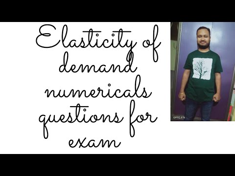elasticity of demand   practical questions for exam