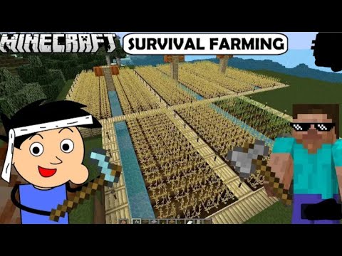 Making Minecraft Best Wheat Farm |BOXSKIN GAMERZ |#2 part 2