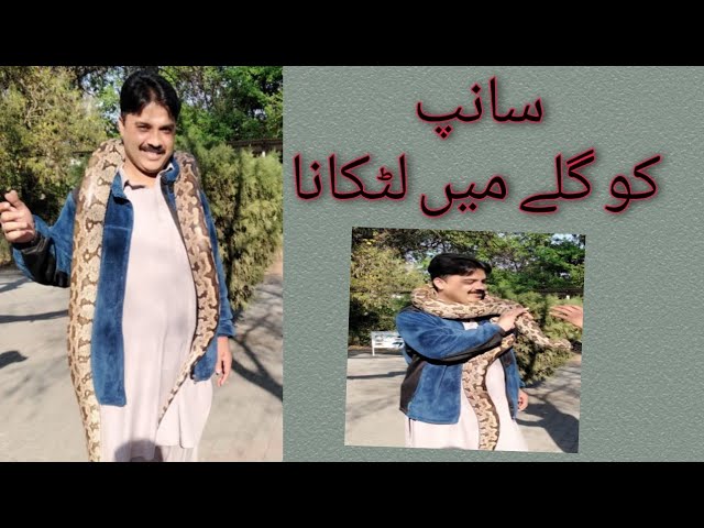 ayub park / سانپ کو گلے میں لٹکانا  / snake / horrible video /