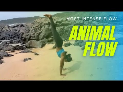 Animal flow | Fitness | Workouts..