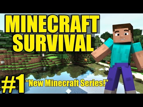 1st Day in Minecraft  Survival ?| MINECRAFT GAMEPLAY #1|Awais GameR Zone