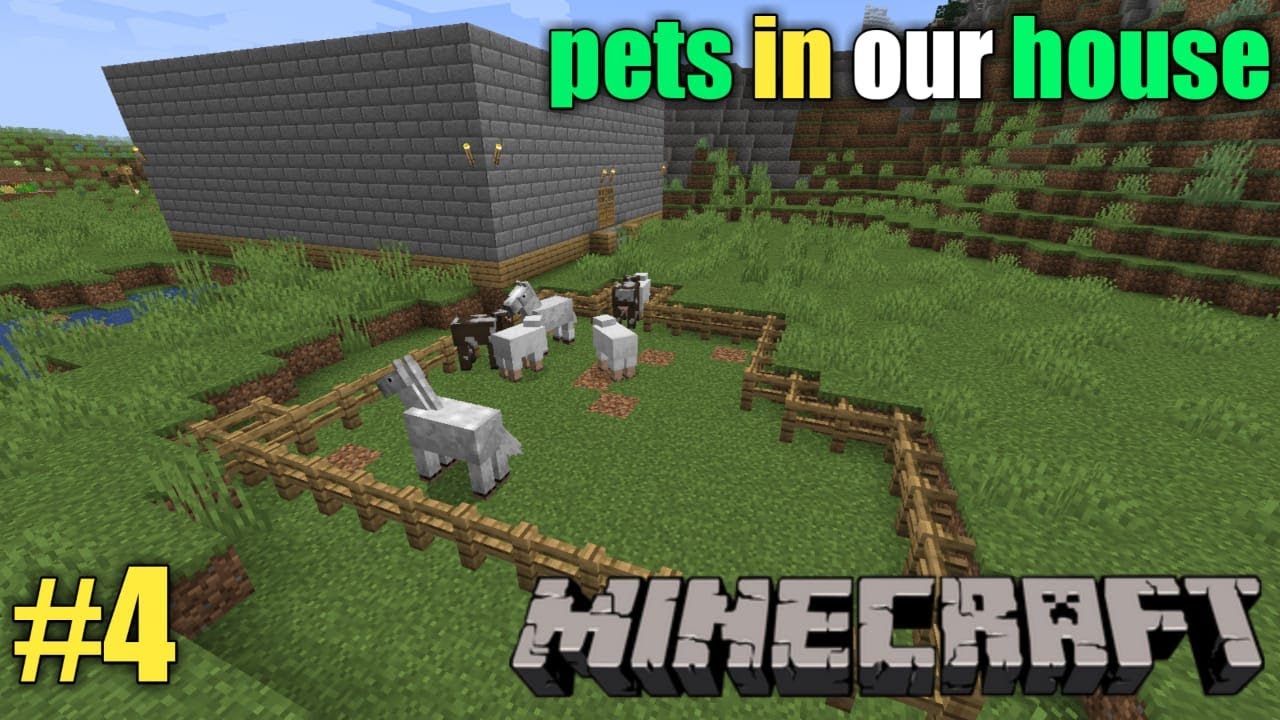 pets in our house / minecraft