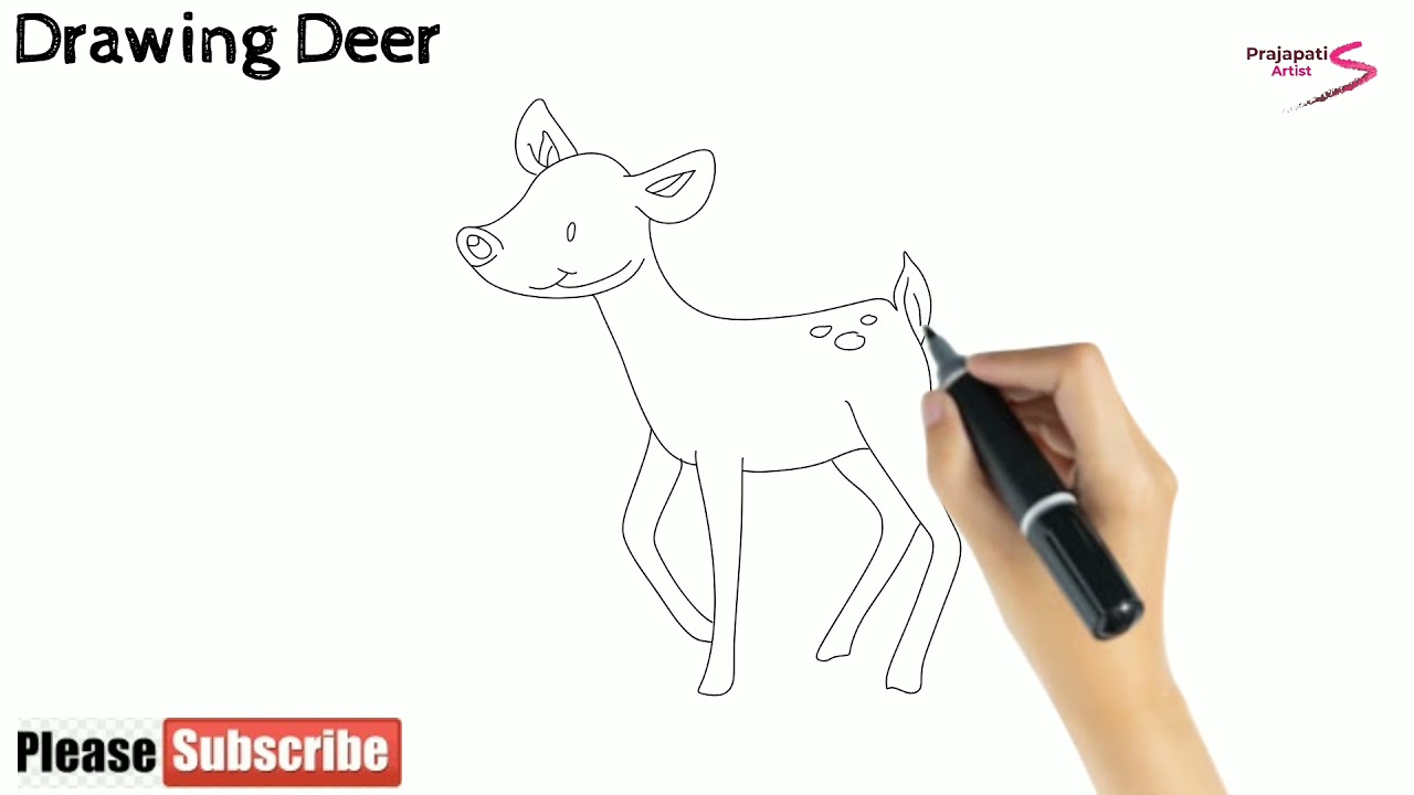 How to draw a deer | drawing deer | how to draw deer step by step
