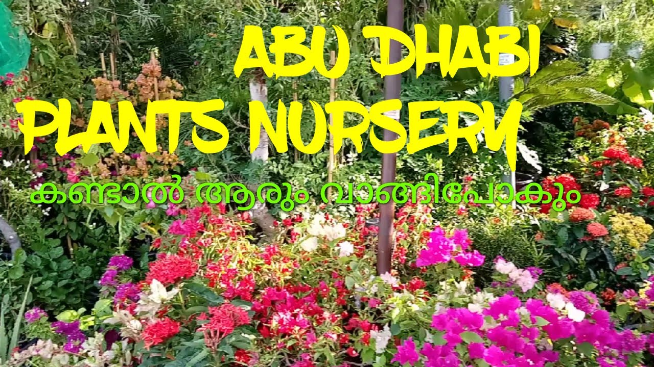 ABU DHABI, PLANTS NURSERY