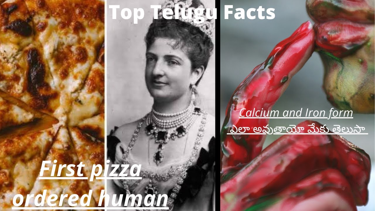 Telugu Top Facts| Unknown Facts Telugu| Getinto Fact-Telugu