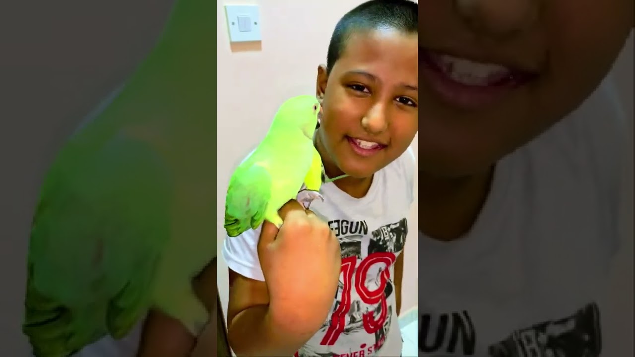Me And My Parrot Playing Together Very Cute And Funny Video (Must Watch Video)
