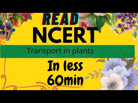 let's read together NCERT// transport in plants// plant physiology