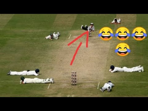 TOP FIVE FUNNY MOVEMENT IN CRICKET- PART 1 - FUN TRACKERS .