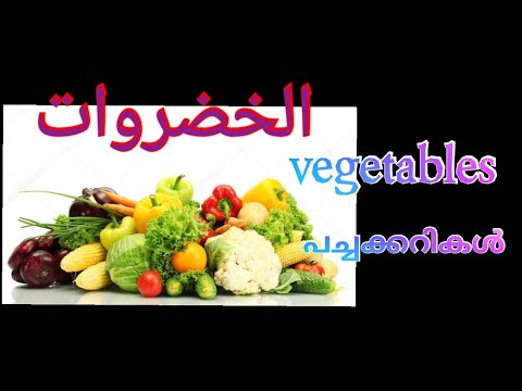30 Vegetables name in Arabic English and Malayalam/ പച്ചക്കറികൾ/خضروات/