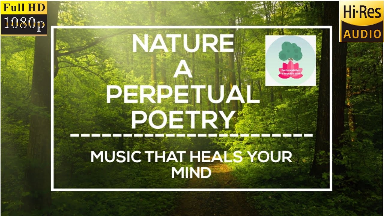 Nature A Perpetual Poetry - A Relaxing Music|Calm Music|Ambient Music|Sleep Music|Study Music