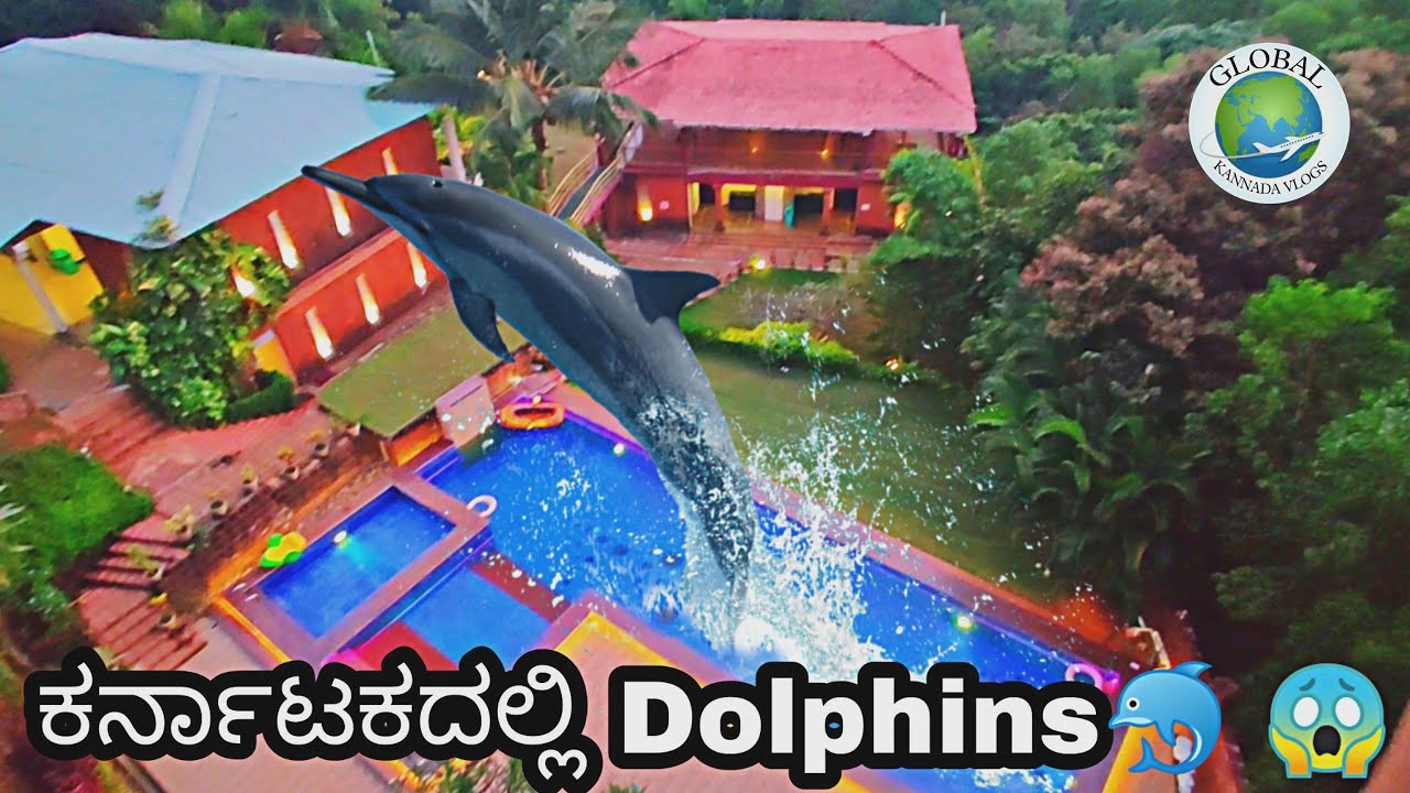 DOLPHINS in Kudle Beach | Kannada Vlog | Gokarna |Kudle Beach View Resort & Spa | Travel vlog