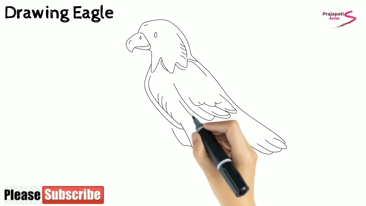 how to draw an eagle | how to draw eagle step by step | eagle drawing