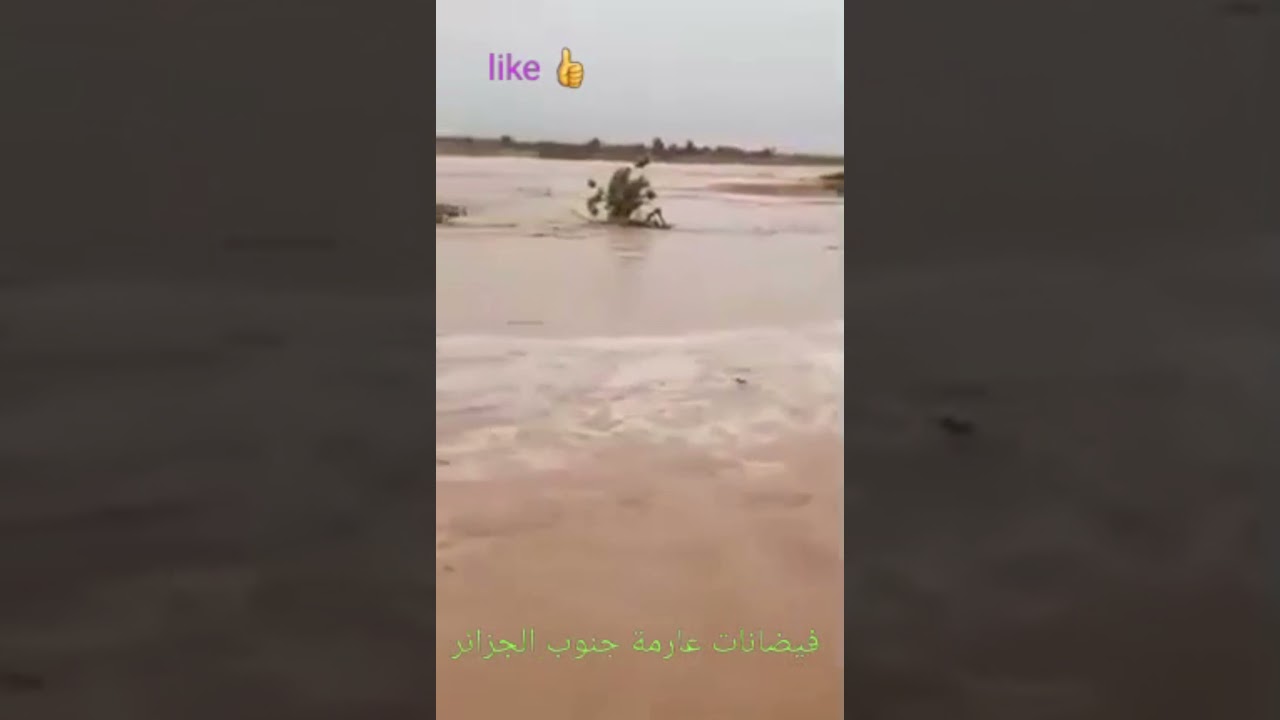 الجزائر فيضانات عارمة جنوب الجزائر وفيضانات غزيرة في ماليزيا