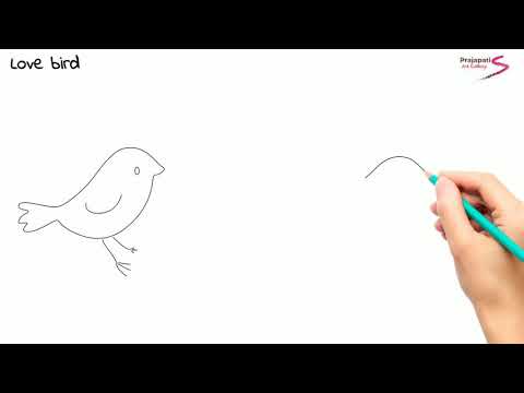 how to draw love bird | love bird | love bird drawing