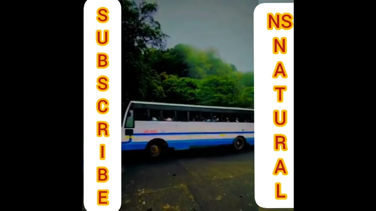 #road #green #nature #shortvideo  whatsApp status.....